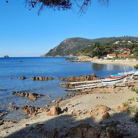 Les Bois Flottes . Plage De La Verne Ла-Сейн-сюр-Мер Экстерьер фото