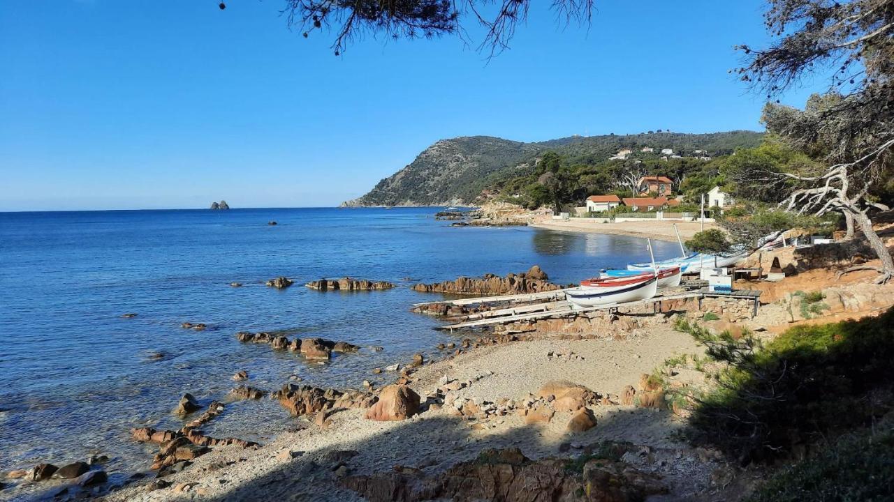 Les Bois Flottes . Plage De La Verne Ла-Сейн-сюр-Мер Экстерьер фото